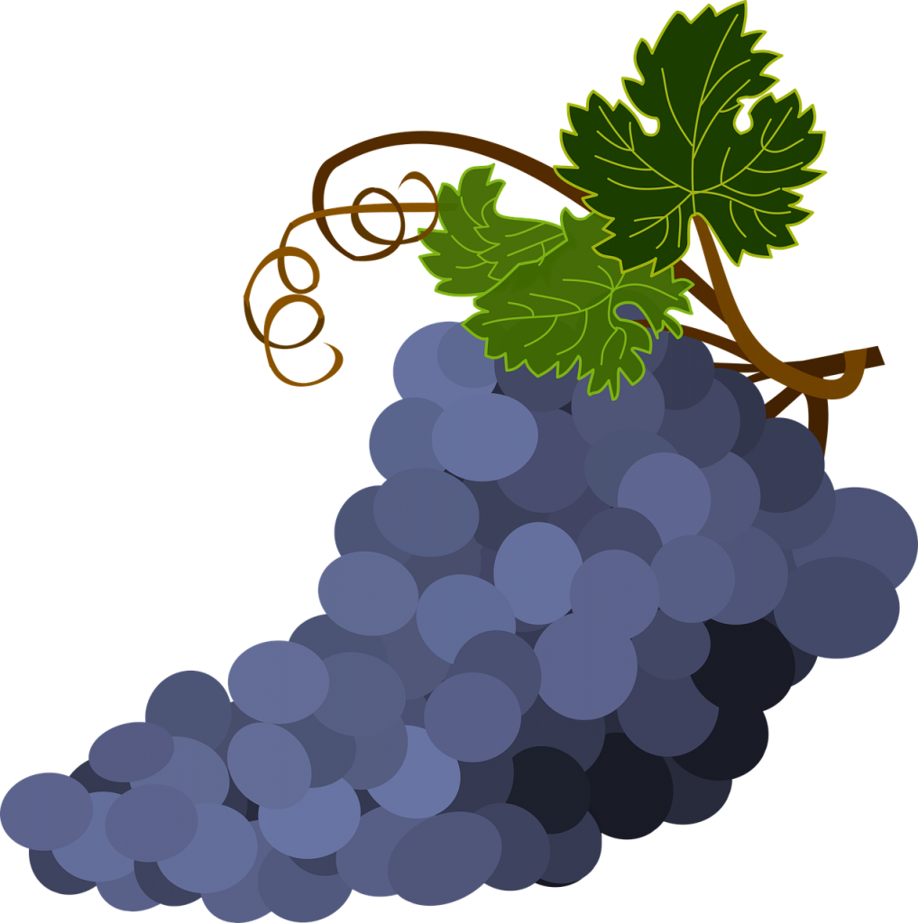 bunch of grapes, grape leaves, grapes